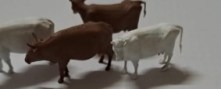 COWS