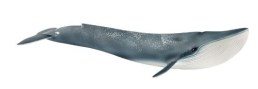 Sch14806